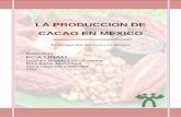 LA PRODUCCION DE CACAO EN MEXICO · PDF fileLA PRODUCCION DE CACAO EN MEXICO Investigación del cacao en México 31/05/2012 FCA UNAM Ocampo Brondo Elsy Giovanna Ríos Barba Joana Itzel