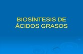 BIOSÍNTESIS DE ÁCIDOS GRASOS - Guía de Bioquímica · PDF filese da en condiciones de exceso de hidratos de carbono. Se da a partir de acetil-CoA. Principalmente en hígado Vía