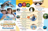 · PDF fileDELFINARI & PARC AQUÀTIC Celebra la teva amb els dofins de Marineland! INFORMACIO RESERVES 93 765 48 02  ¶es El preu de la comunió inclou