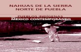 Nahuas de ls Sierra Norte de Puebla - gob.mx · PDF file... , Delegación Miguel Hidalgo ... , en términos de la Ley Federal del Derecho de Autor, y en su ... inaccesible del terreno