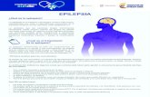 EPILEPSIA - Medicamentos a un · PDF fileEPILEPSIA ¿Qué es la epilepsia? ¿Cuál es el tratamiento de la epilepsia? La epilepsia es el trastorno neurológico crónico más común,