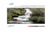 Análisis del marco legal e institucional caudales ... · PDF filePresentación y Objetivos de la consultoría 2 2 ... que “En los ríos donde se construyen estructuras hidráulicas