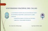 UNIVERSIDAD NACIONAL DEL CALLAO · PDF filela universidad nacional del callao dentro del marco del desarrollo sostenible y adaptaciÓn al cambio climÁtico: experiencias desde la facultad