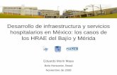 Desarrollo de infraestructura y servicios hospitalarios en ... HRAEB_Belo... · Desarrollo de infraestructura y servicios hospitalarios en México: los casos de los HRAE del Bajío