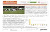 La fiebre aftosa en el ganado bovino - dane.gov.co · PDF fileBoletín mensual INSUMOS Y FACTORES ASOCIADOS A LA PRODUCCIÓN AGROPECUARIA Octubre 2014 • Núm. 28 CONTENIDO pág.
