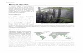 Bosque nuboso -   · PDF fileBosque nuboso 3 Distribución Puente colgante en Santa Elena, Costa Rica, desapareciendo entre las nubes. Existen bosques tropicales en los siguientes