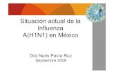 Situación actual de la Influenza A(H1N1) en Mé · PDF filealerta epidemiológica e ... RNA segmendado de cadena sencilla ... Enviar al InDRE 100% de las muestras influenza tipo A