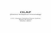 OLAP - Bases de Datos - Otoño 2012 · PDF fileOLAP(OnLine Analytical Processing) ISC. Zoraya C. Flores Juárez Página 2 Introducción. Las empresas han comenzado a aprovechar los