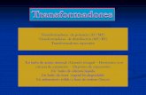 Maniobra y Protección de las Instalaciones Eléctricas ...fotosdeelectricidad.es/wp-content/uploads/2011/05/Trafo-XI-2017-06.pdf · URL: . Bloque: Instalaciones de AT Unidad: Transformadores
