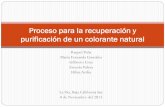 Proceso para la recuperación y purificación de un ... · PDF fileCochinilla ( Dactylopius coccus) Vacciniun Myrtillus. Zanahoria, grelos, ... El mercado de los colorantes naturales