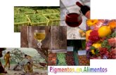 parte 1-6 percepcion.wmv …sgpwe.izt.uam.mx/files/users/uami/acym/Pigmentos_en_alimentos.pdf · • Óxidos de hierro • Ponceau 4R, cochinilla A • Riboflavinas • Rojo Allura