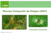 Manejo Integrado de Plagas (MIP) - · PDF file09/08/2009 2 Definiciones Marketing AP – México, 2012 El concepto de manejo integrado, supone a la combinación de métodos con el