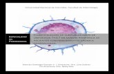 Cuantificación de subpoblaciones de linfocitos Th17 en ... · PDF fileintracelular de IL-10. 4.2.4 Cuantificar linfocitos Th17 ... inflamatorios crónicos locales son considerados