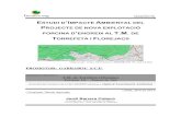 ESTUDI D’IMPACTE AMBIENTAL DEL -  · PDF file12.2. geologia, geomorfologia, hidrogeologia i edafologia.....30 12.2.1. geomorfologia
