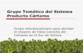 Grupo Temático del Sistema Producto Cártamo - · PDF file · 2010-11-15Grupo Temático del Sistema Producto Cártamo Introducción El cultivo de cártamo es una opció para cultivarse
