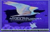 Varias entidades Invernada Águila Pescadora en la ...sociedadgaditanahistorianatural.com/wp-content/uploads/2017/01/el... · Marian Pizarro, Mario Blanco, Mario Dominguez, Miguel