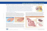 Enfermedad pulmonar obstructiva crónica (EPOC) - ATS · PDF fileAmerican Thoracic Society SERIE DE NFORMACIÓ A PACIENTE  . org COS: COPA F AmJRespirCritCareMedVol.171P3-P4,2005