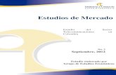 Estudios de Mercado - Superintendencia de Industria y · PDF file3 Estudio del Sector Telecomunicaciones en Colombia Grupo de Estudios Económicos Superintendencia de Industria y Comercio
