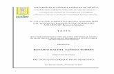 1- Hoja de Presentación y Autorización - Bienvenido a UAISuaim.mx/cgip/PDF/TesisRosarioRaudelSanudo.pdf · Establecimiento y manejo de cultivo ... generación de alternativas de