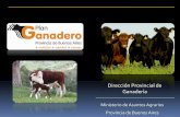 Dirección Provincial de Ganadería - Buenos Aires · PDF fileen la Provincia de Buenos Aires. Clic en Nuevo para grabar. completar los datos del veterinario. Clic en ... Diapositiva