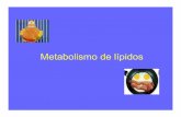 Metabolismo de lípidos - Bioquimica Kinesiologia UNLaM · PDF fileESQUEMA DE LA REGULACION DE LA BIOSINTESIS Citrato Acetil-CoA Malonil-CoA Palmitoil-CoA Citrato liasa Acetil-CoA