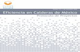 Versión 1.0 | 1 de noviembre 2016 Eficiencia en Calderas … Mercado Tetra Tech Ana María Contreras Vigil Tetra Tech Grupo de Trabajo Charles Purshouse Camco International Group,