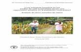 ¿Los enfoques basados en los modos de vida sostenibles ... · PDF fileRepercusión de proyectos basados en los MVS en la población rural pobre: enseñanzas de doce estudios de casos