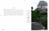 Petén - · PDF fileladina petenera. Historia de un paraíso verde Aunque en un principio la población petenera era escasa, muchos habitantes emigraron desde Yucatán, y otros fueron