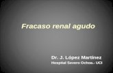 FRACASO RENAL AGUDO - FUAM | Fundación de la …fuam.es/wp-content/uploads/2012/08/Fraca… · PPT file · Web view · 2012-09-11Mecanismo KUf Reposición Hemofiltración continua