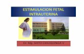 ESTIMULACION FETAL INTRAUTERINA - · PDF fileestimulacion fetal intrauterina • no basta con traerlo vivo; sino en las mejores condiciones: util a si mismo a la failiaamilia y a la