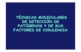Tema 9. T cnicas moleculares de detecci n de pat genos y ... · PDF filetÉcnicas moleculares:inconvenientes 1-la presencia de acido nucleico no es sinÓnimo de enfermedad infecciosa