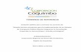 TERMINOS DE REFERENCIA - crdp.cl · PDF fileTERMINOS DE REFERENCIA Licitación pública para contratar los servicios de “Estudio técnico-económico para la implementación de un