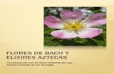 Flores de Bach y Elixires Aztecas - · PDF fileNo se Vincula y se queda en Aislamiento, Arraigo, con su Autoestima Herida. Tiene Miedo al Contacto, a Ser Lastimado, A No Ser Aceptado