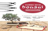 CURSO 2018 bonsai INICIACIÓN 5 sesiones I precio: 250€ · PDF file · 2017-10-23bonsai INICIACIÓN 5 sesiones I precio: 250€ Febrero Abril Mayo Junio Organiza Octubre RAL BONSAI