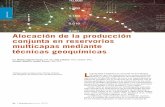 Alocación de la producción conjunta en reservorios ... · PDF filela Argentina. Fundamentos geoquímicos En forma práctica, ... la composición del petróleo depende del tipo de