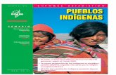 OCTUBRE DE 2008 ENFOQUE ESTADÍSTICO Pueblos …ww2.educarchile.cl/UserFiles/P0001/File/PUEBLOS INDIGENAS.pdf · OCTUBRE DE 2008 ENFOQUE ESTADÍSTICO sumario Panorama por Regiones