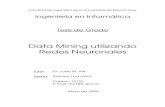 Data Mining utilizando Redes Neuronales - materias.fi.uba.armaterias.fi.uba.ar/7500/bot-tesisdegradoingenieriainformatica.pdf · Facultad de Ingeniería de la Universidad de Buenos
