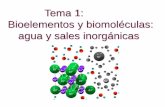Tema 1: Bioelementos y biomoléculas: agua y sales …naturacascales.weebly.com/uploads/2/5/4/9/25496935/tema_1.pdf · BLOQUE 1. LA BASE MOLECULAR Y FÍSICO-QUÍMICA DE LA VIDA. I.