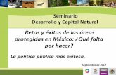 Retos y éxitos de las áreas protegidas en México: ¿Qué ... · PDF filegran escala, construcción de infraestructura vial