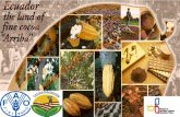 PROYECTO: CALIDAD DE LOS ALIMENTOS  · PDF fileEl cacao fino o de aroma proviene de 17 países en Suramérica, América Central, Islas del Caribe y Sudeste asiático