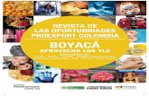REVISTA DE LAS OPORTUNIDADES - Colombia · PDF file1 Escalafón de la competitividad de los departamentos en Colombia, ... Y MADERAS POR US$22.783 Y MANUFACTURAS DE ... GUATEMALA,