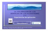 LA VALORACION DE LOS SERVICIOS DE LOS ECOSISTEMAS · PDF filegestiÓn y valoraciÓn del medio ambiente y los recursos naturales ilpes-cepal. santiago de chile. diciembre de 2007. la