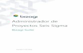 Administrador de Proyectos Seis Sigma - Bizagi - Digital ... · PDF fileEl proceso Administrador de Proyectos Seis Sigma fue diseñado para implementar y controlar un proyecto de Seis