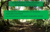 924623052.silvicultura tropical-2.pdfecaths1.s3.amazonaws.com/silvicultura/924623052.silvicultura... · Lamprecht, H. L. (1990): Silvicultura en los trópicos. GTZ, Eschborn. 335