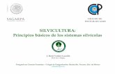 SILVICULTURA: Principios básicos de los sistemas silvícolasbiblioteca.semarnat.gob.mx/janium/Documentos/Ciga/Libros2014/CD... · SILVICULTURA: Principios básicos de los sistemas