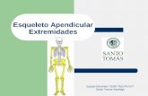 Esqueleto Apendicular Extremidades - tegynst · •Es un pequeño hueso que conforma la articulación de la rodilla. •Se articula con los huesos aledaños mediante ligamentos. ...