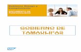 Gobierno Riesgo y Cumplimientoplataformaunica.tamaulipas.gob.mx/wp-content/uploads/2012/01/... · Process Control: Permite realizar controles eficientes que ayuden a monitorear de