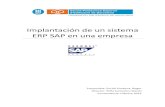 Implantación de un sistema ERP SAP en una empresa este proyecto, se seguirá la metodología ASAP por sencillez y ... SD, LO.... Job: Es un conjunto de uno o más programas que tienen