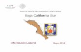 SUBSECRETARÍA DE EMPLEO Y PRODUCTIVIDAD LABORAL Baja ... baja... · Nacional Baja California Sur Periodo 19,696,488 172,330 Febrero 2018 Tasa de Desocupación (por ciento) 1/ 3.4