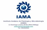 Instituto Andaluz de Patología y Microbiología (IAMA)“N DE IgG EN BAL (ng/ml) 0,E+00 2,E+06 4,E+06 6,E+06 8,E+06 49 51 56 78 dias ensayo VAC 2 A VAC 1 A VAC 2 B VAC 1 B CONTROL